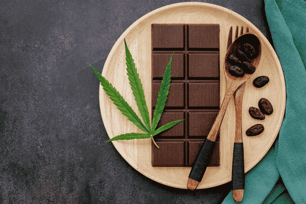 Image of cannabis edible chocolate bar, prepared with sous vide methods