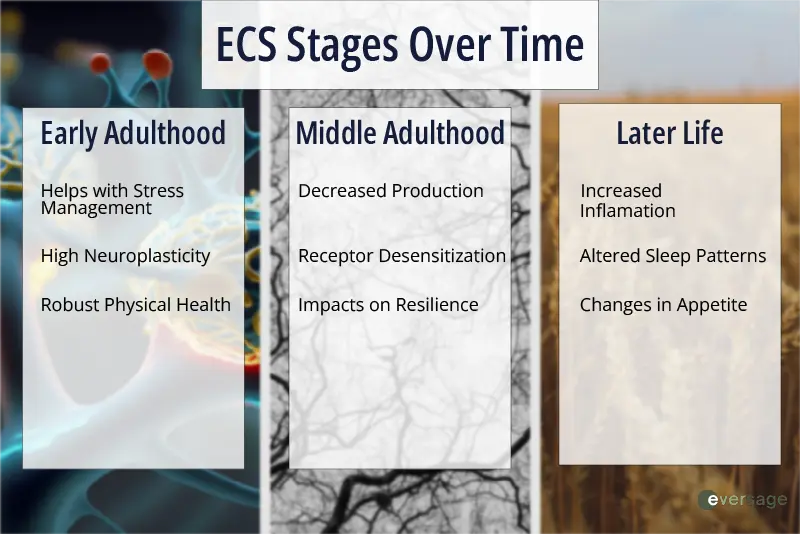 Infographic describing changes to ECS over time
