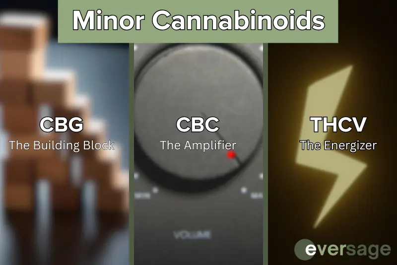 Infographic describing three minor cannabinoids: CBG, CBC, & THCV