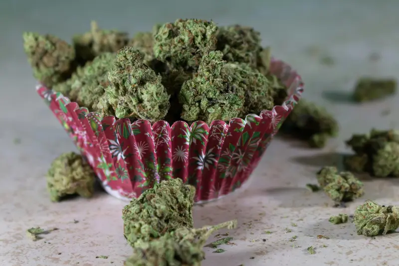 Cannabis flower in a cupcake wrapper