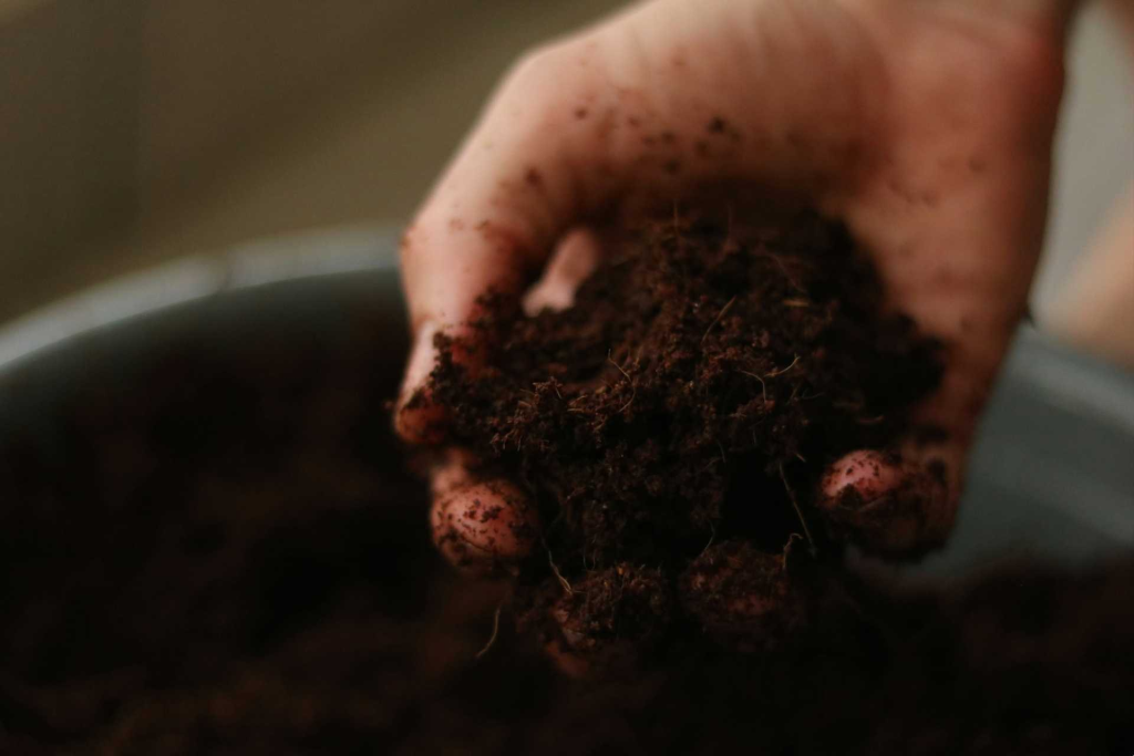 Photo of a hand running through growing medium.