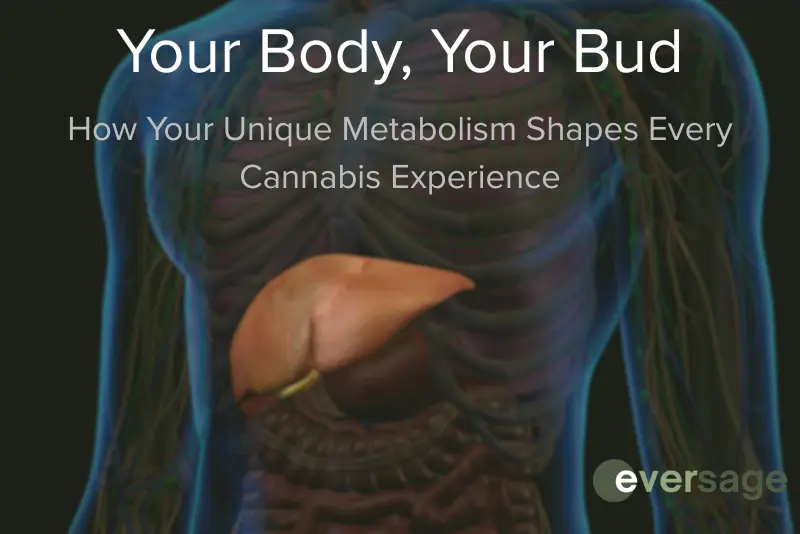 Your Body, Your Bud: How Your Unique Metabolism Shapes Every Cannabis Experience