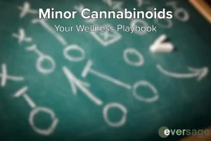 Minor Cannabinoids: Your Wellness Playbooik