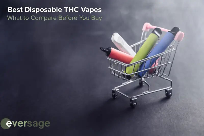 Best Disposable THC Vapes: What to Compare Before You Buy