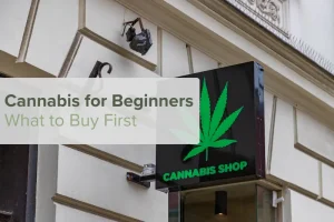 Cannabis for Beginners: What to Buy First