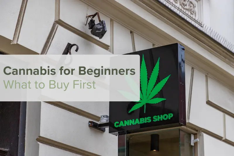 Cannabis for Beginners: What to Buy First